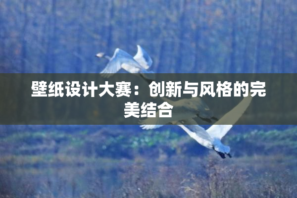 壁纸设计大赛：创新与风格的完美结合