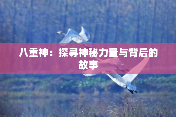 八重神：探寻神秘力量与背后的故事