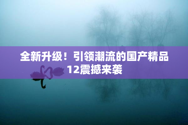 全新升级！引领潮流的国产精品12震撼来袭
