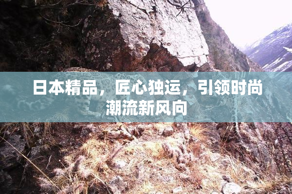 日本精品，匠心独运，引领时尚潮流新风向