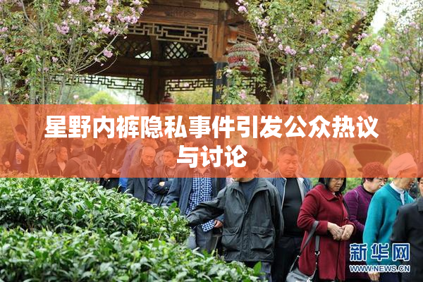 星野内裤隐私事件引发公众热议与讨论