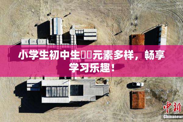 小学生初中生❌‌元素多样，畅享学习乐趣！