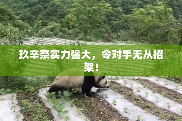 玖辛奈实力强大，令对手无从招架！