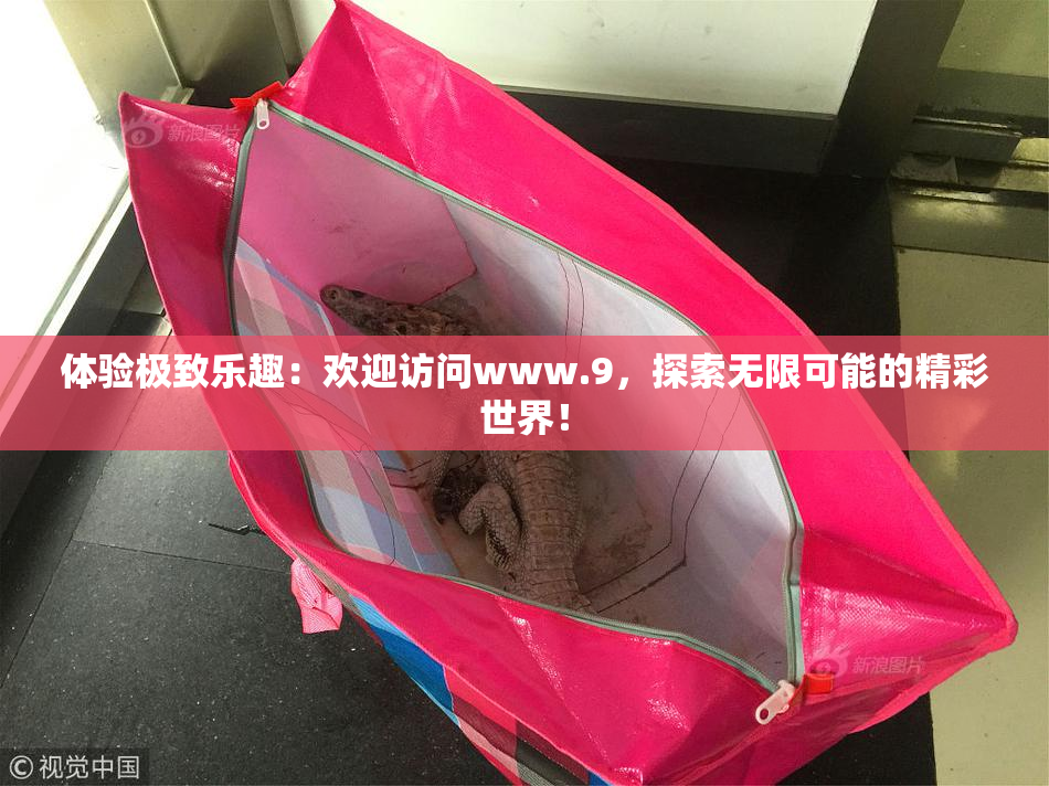 体验极致乐趣：欢迎访问www.9，探索无限可能的精彩世界！