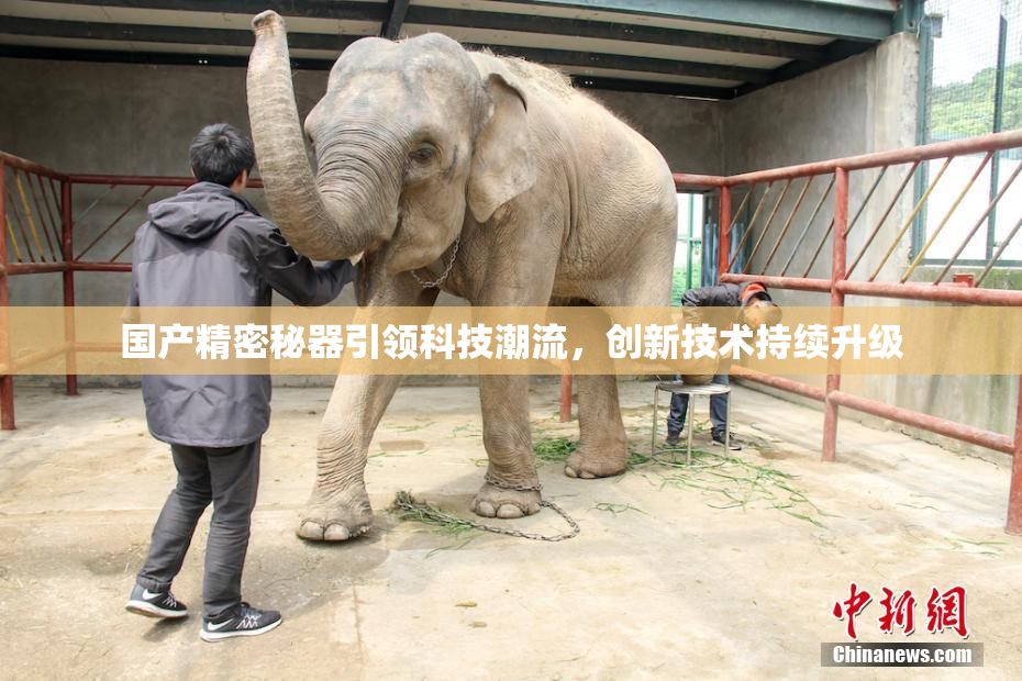 国产精密秘器引领科技潮流，创新技术持续升级
