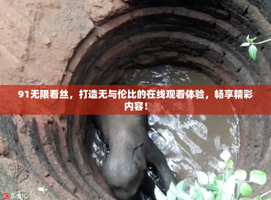 91无限看丝，打造无与伦比的在线观看体验，畅享精彩内容！