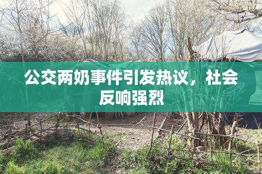 公交两奶事件引发热议，社会反响强烈