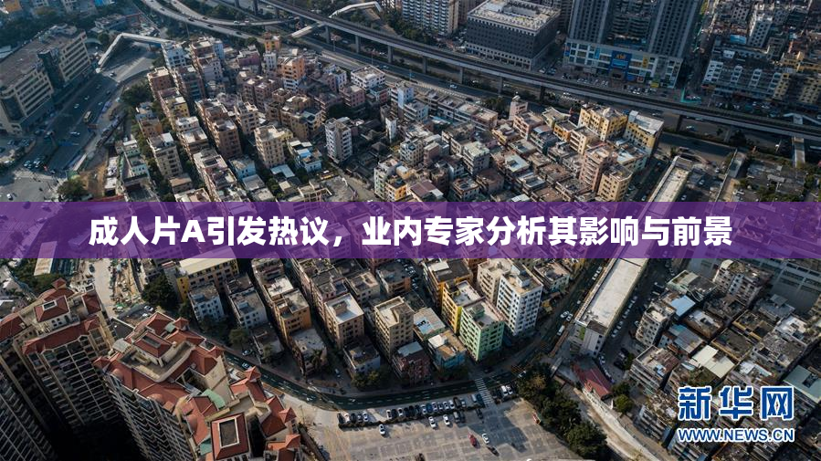 成人片A引发热议，业内专家分析其影响与前景