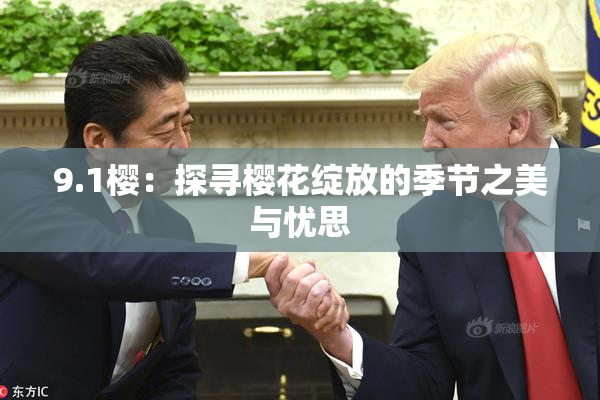 9.1樱：探寻樱花绽放的季节之美与忧思