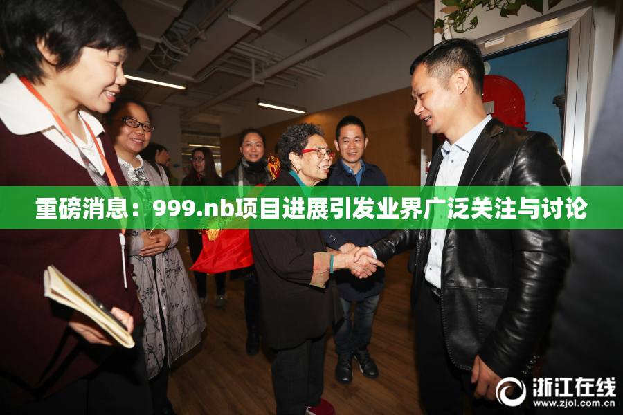 重磅消息：999.nb项目进展引发业界广泛关注与讨论