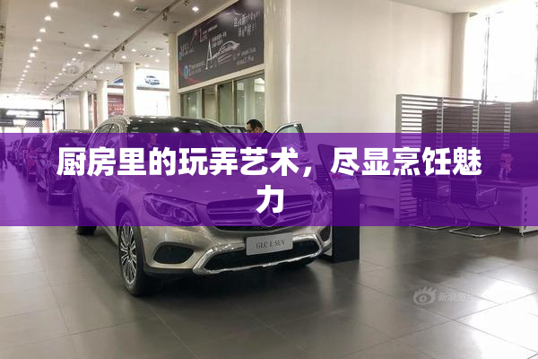 厨房里的玩弄艺术，尽显烹饪魅力