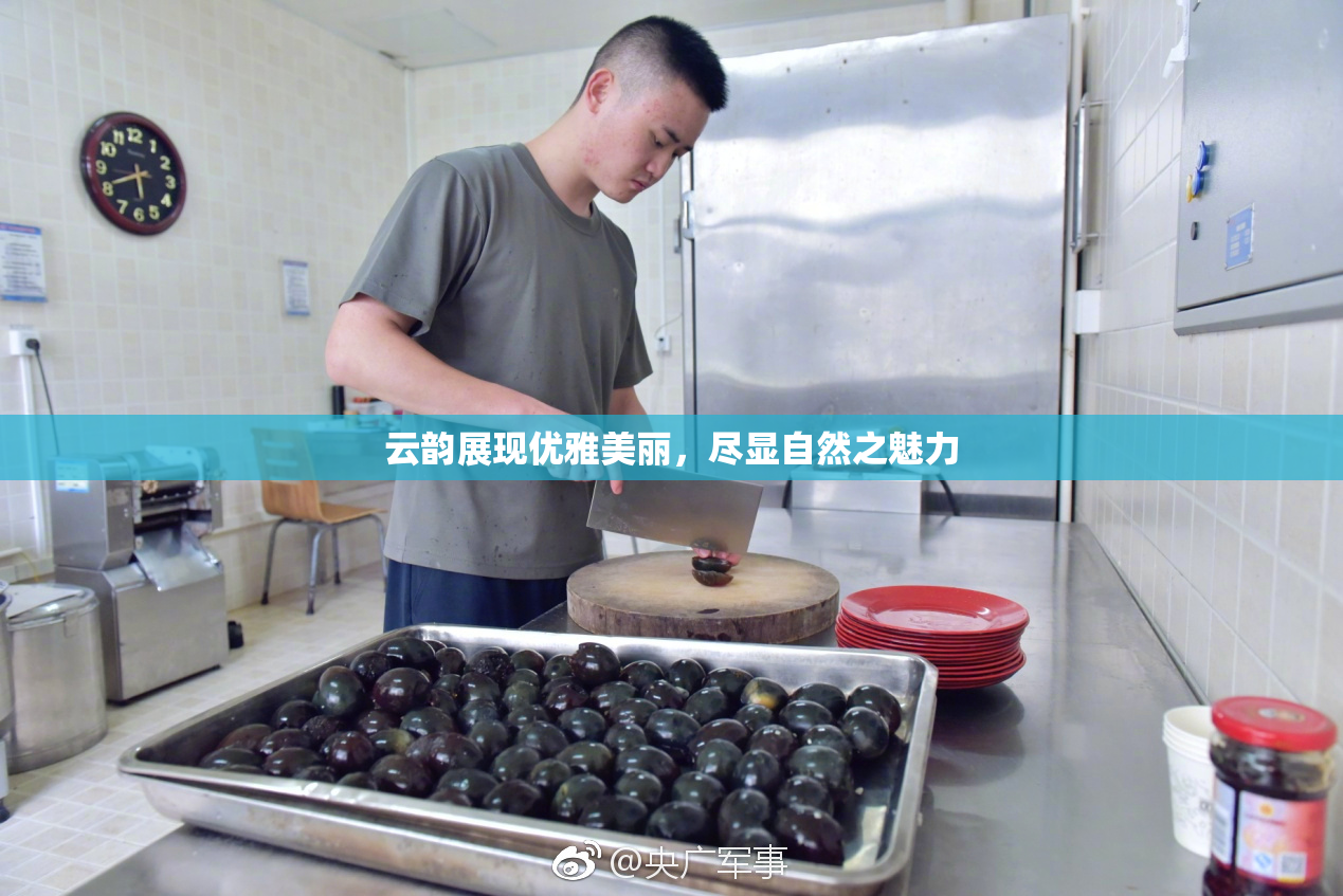 云韵展现优雅美丽，尽显自然之魅力