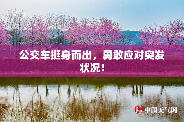 公交车挺身而出，勇敢应对突发状况！