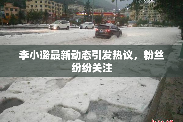 李小璐最新动态引发热议，粉丝纷纷关注