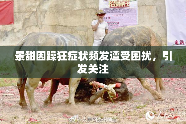 景甜因躁狂症状频发遭受困扰，引发关注