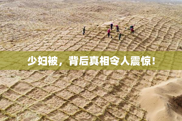 少妇被，背后真相令人震惊！