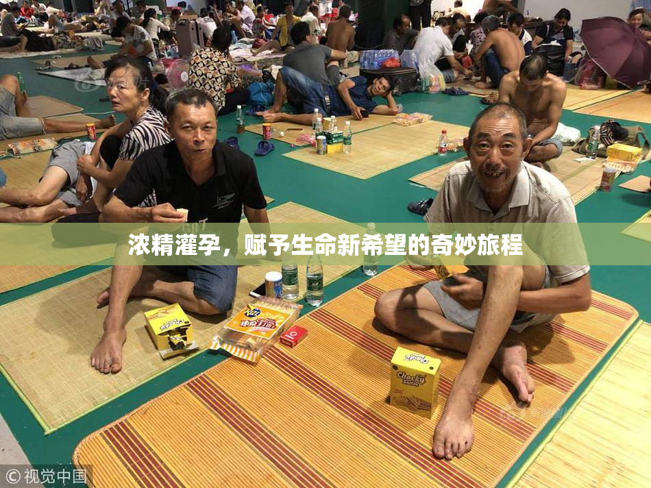 浓精灌孕，赋予生命新希望的奇妙旅程