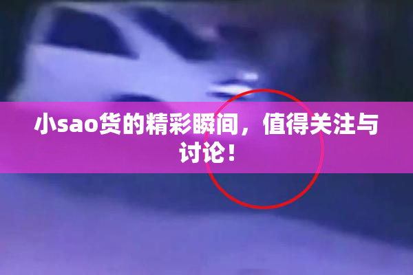 小sao货的精彩瞬间，值得关注与讨论！