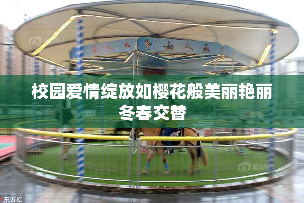 校园爱情绽放如樱花般美丽艳丽冬春交替