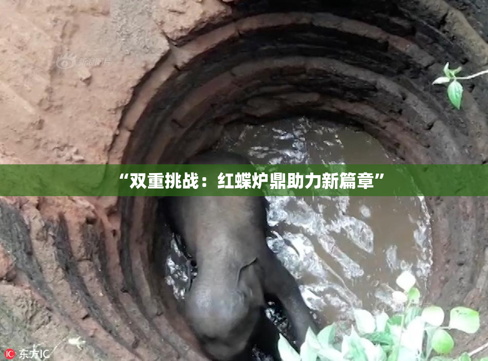 “双重挑战：红蝶炉鼎助力新篇章”