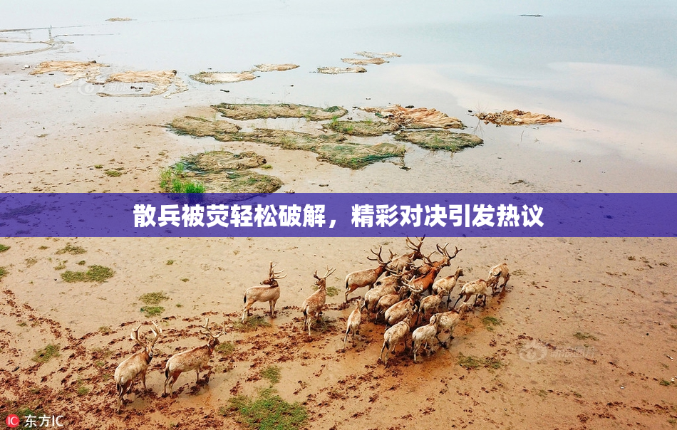 散兵被荧轻松破解，精彩对决引发热议