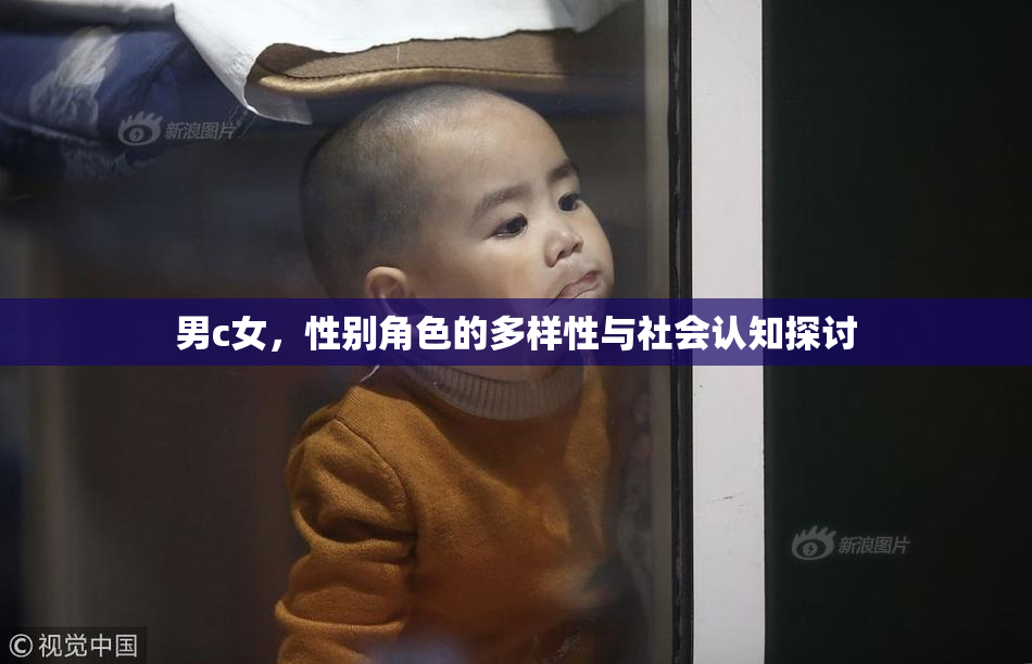 男c女，性别角色的多样性与社会认知探讨