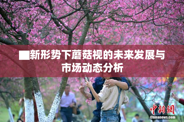 ▇新形势下蘑菇视的未来发展与市场动态分析