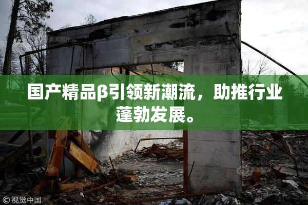 国产精品β引领新潮流，助推行业蓬勃发展。
