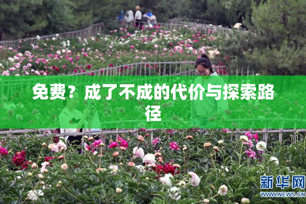 免费？成了不成的代价与探索路径