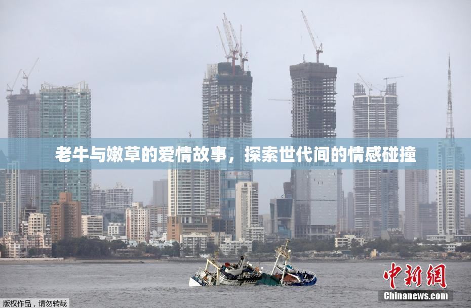老牛与嫩草的爱情故事，探索世代间的情感碰撞