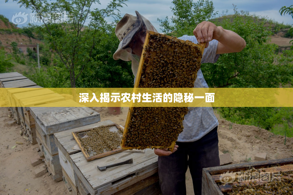 深入揭示农村生活的隐秘一面