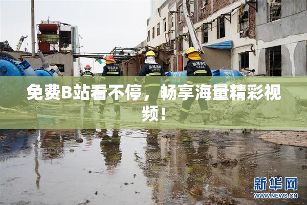 免费B站看不停，畅享海量精彩视频！