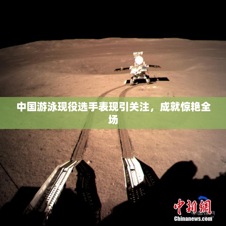 中国游泳现役选手表现引关注，成就惊艳全场