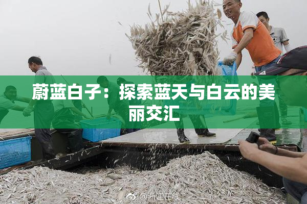 蔚蓝白子：探索蓝天与白云的美丽交汇