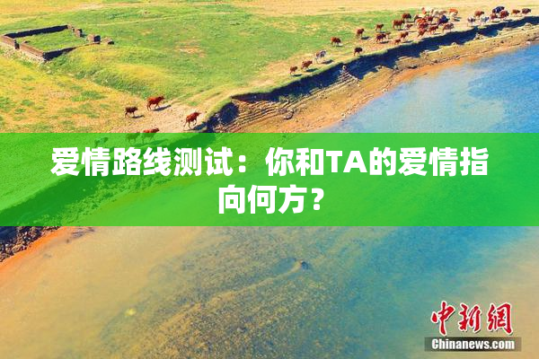 爱情路线测试：你和TA的爱情指向何方？