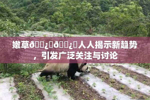 嫩草🌿‌🌿‌人人揭示新趋势，引发广泛关注与讨论