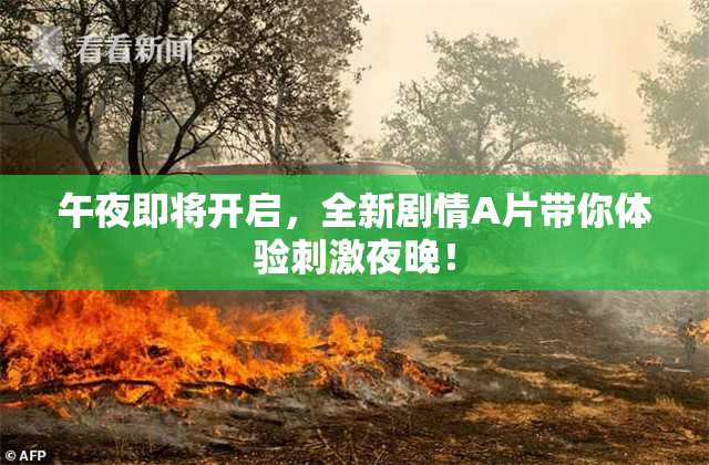 午夜即将开启，全新剧情A片带你体验刺激夜晚！