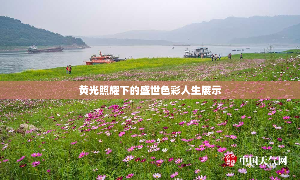 黄光照耀下的盛世色彩人生展示