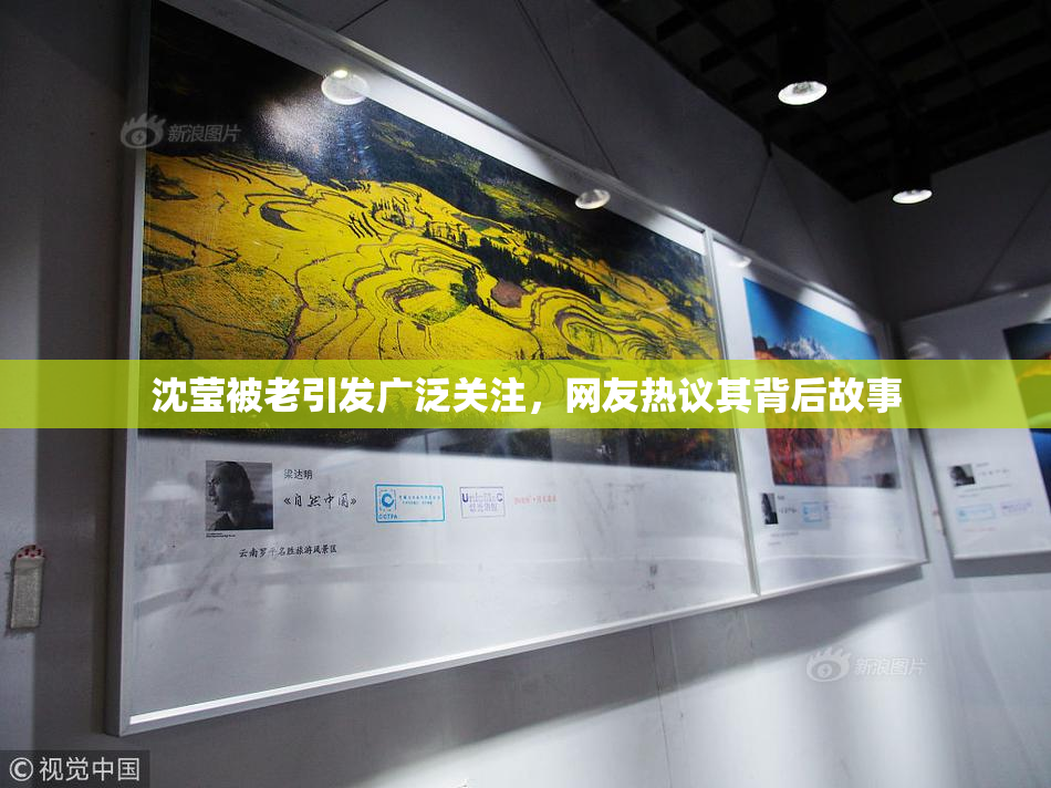 沈莹被老引发广泛关注，网友热议其背后故事
