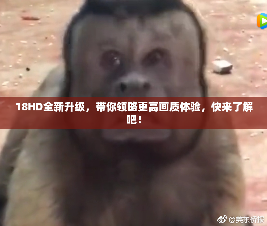 18HD全新升级，带你领略更高画质体验，快来了解吧！