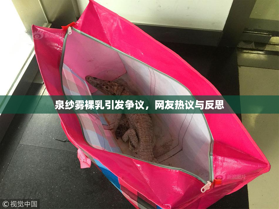 泉纱雾裸乳引发争议，网友热议与反思