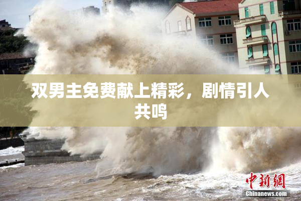 双男主免费献上精彩，剧情引人共鸣