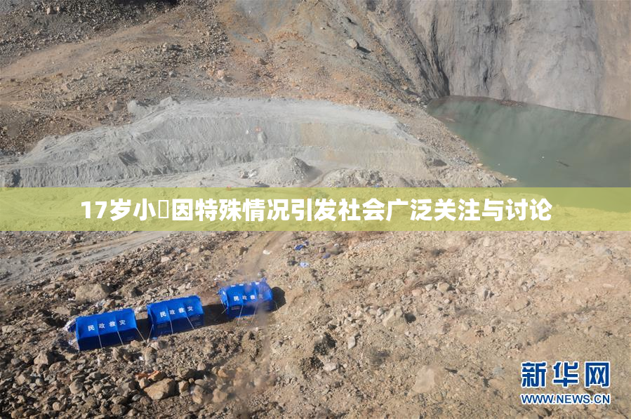 17岁小泬因特殊情况引发社会广泛关注与讨论