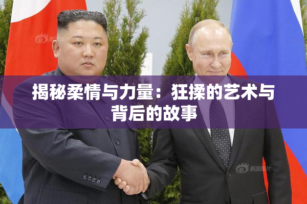 揭秘柔情与力量：狂揉的艺术与背后的故事
