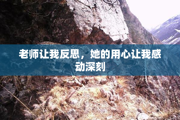 老师让我反思，她的用心让我感动深刻