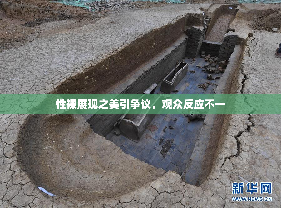 性裸展现之美引争议，观众反应不一
