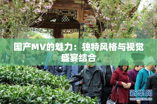 国产MV的魅力：独特风格与视觉盛宴结合