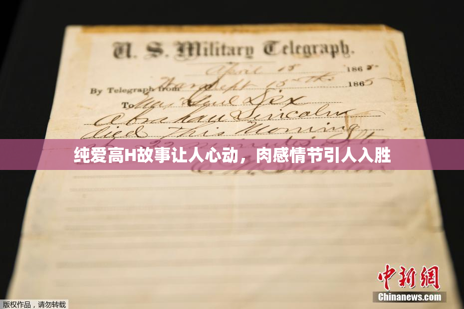 纯爱高H故事让人心动，肉感情节引人入胜