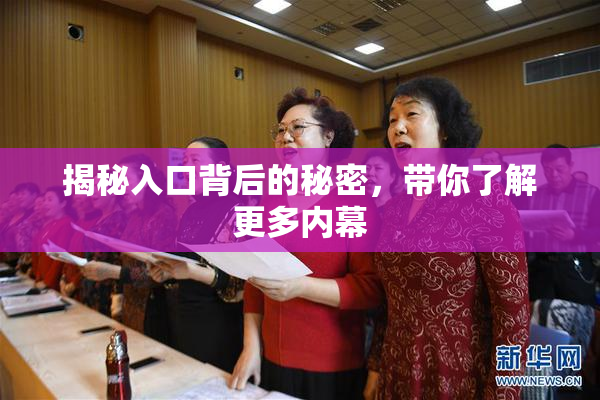 揭秘入口背后的秘密，带你了解更多内幕