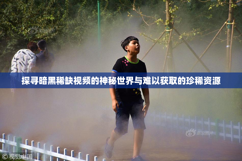 探寻暗黑稀缺视频的神秘世界与难以获取的珍稀资源